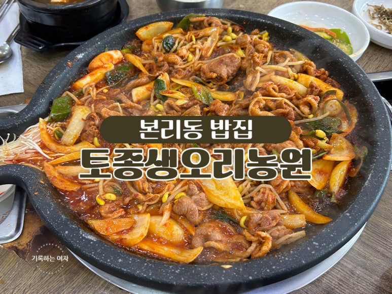 토종생오리농원 이미지