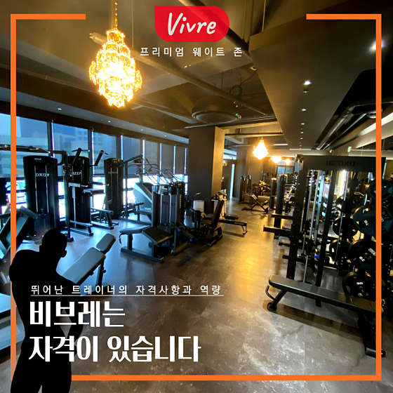 비브레 이미지