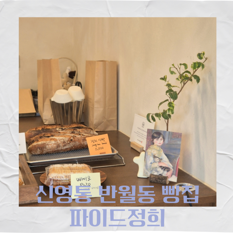 파이드정희 이미지