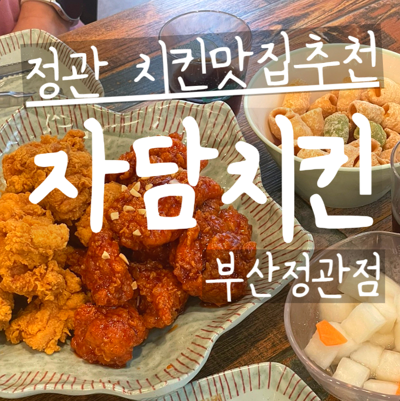 자담치킨 정관점 이미지