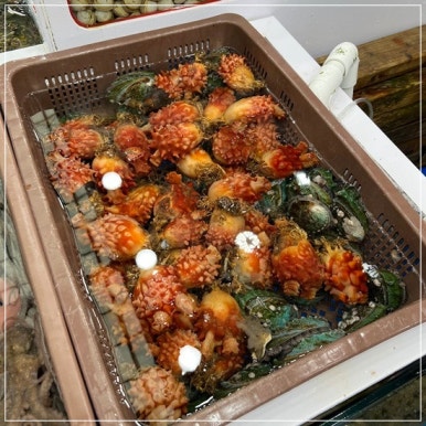 왕창수산 이미지