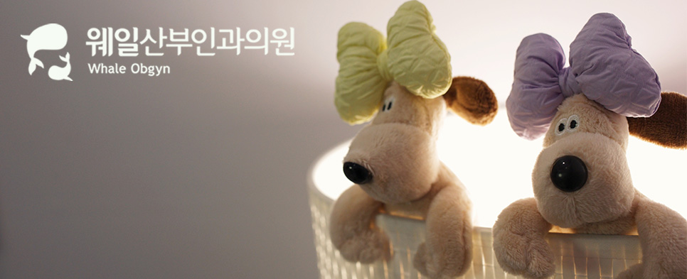 제이웨일 이미지