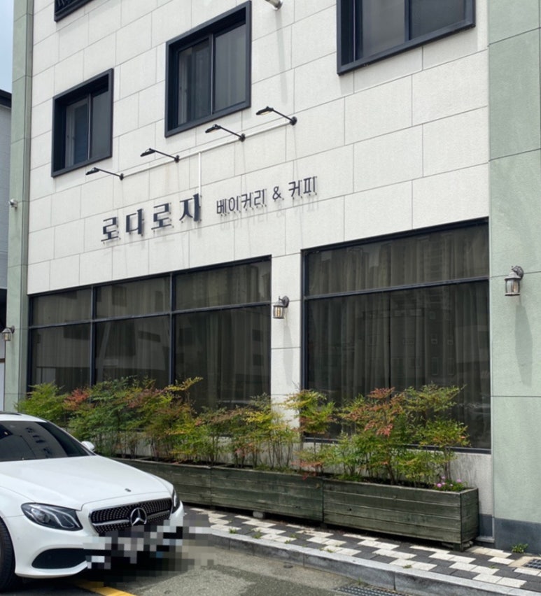 로다로지 이미지