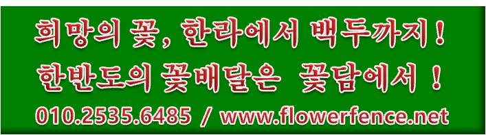 김은주꽃플라워 이미지