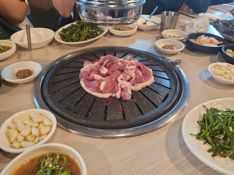 낙동생오리 이미지