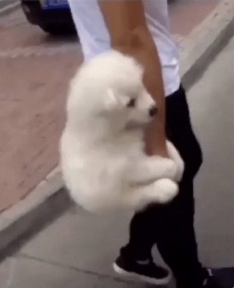 미인브레드 호암로점 이미지