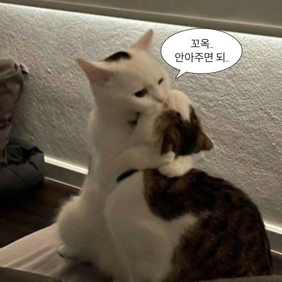 상록수식당 이미지