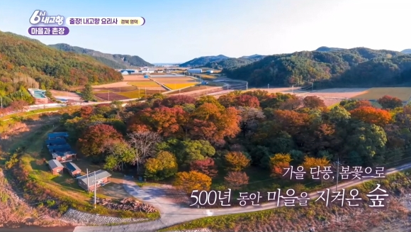 (주)투웰브마운틴즈 이미지