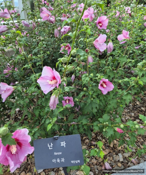 장성사 이미지