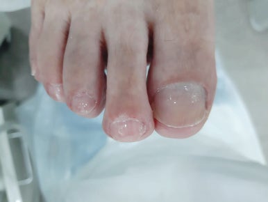 레푸스앤두두뷰티 이미지