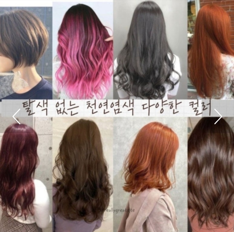 큐사랑 이미지