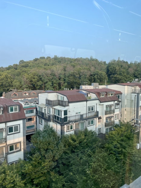 미인브레드 호암로점 이미지