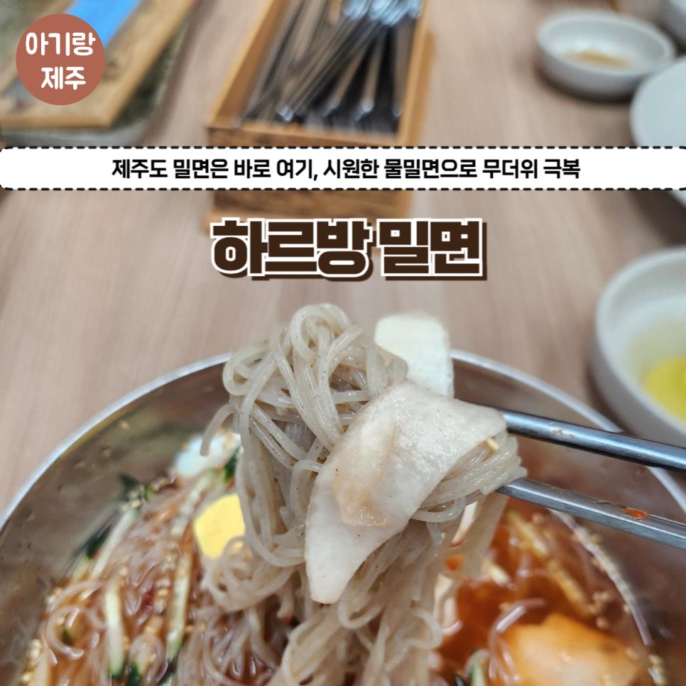 하르망 이미지