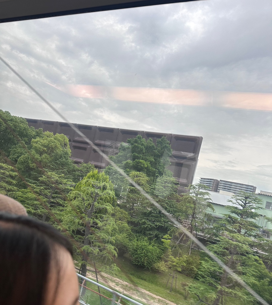 돈추 이미지