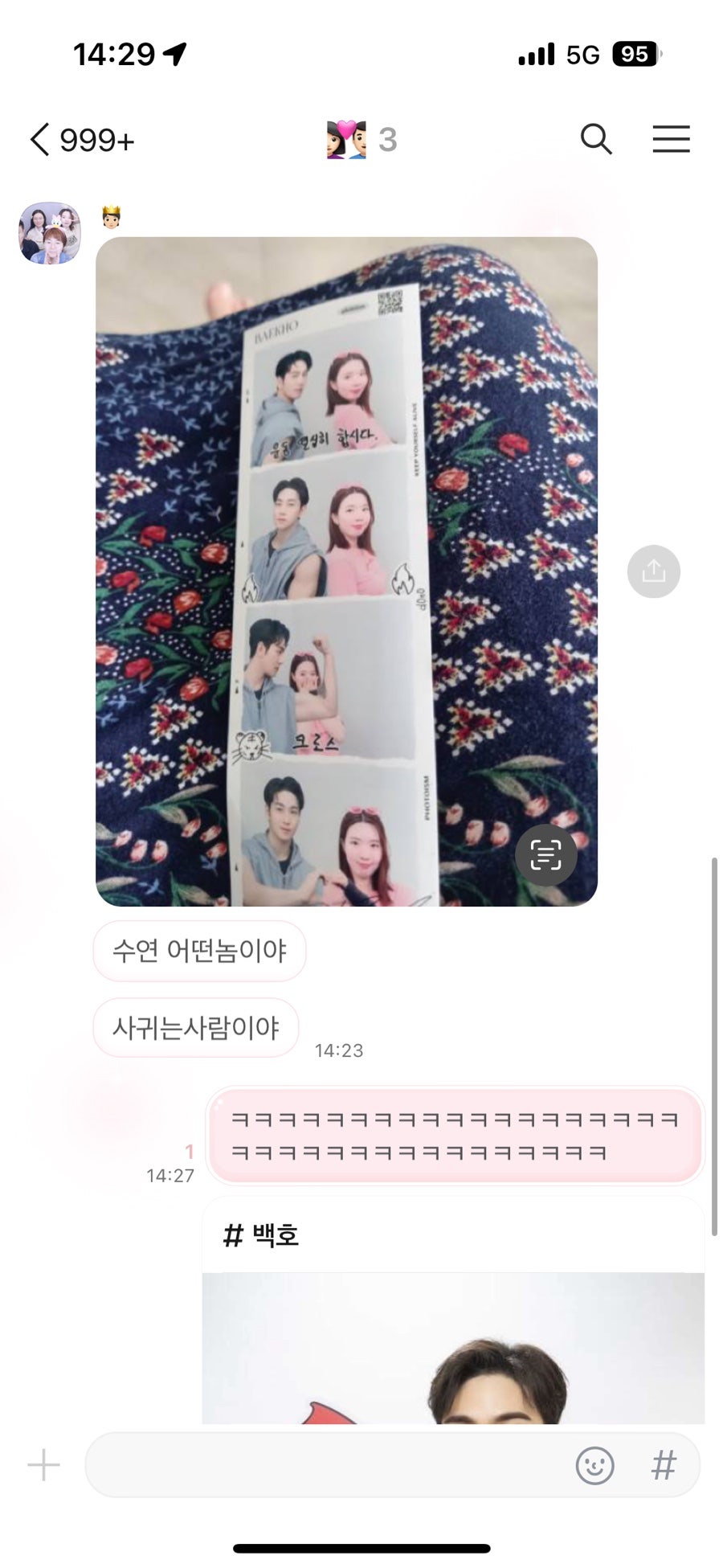 백호마미 이미지