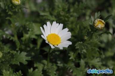 밥이야기 이미지