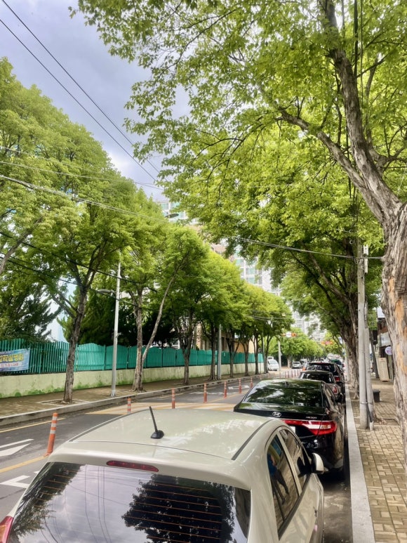 아작커피 이미지