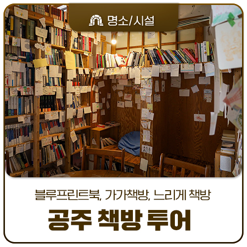 책방느리게 이미지