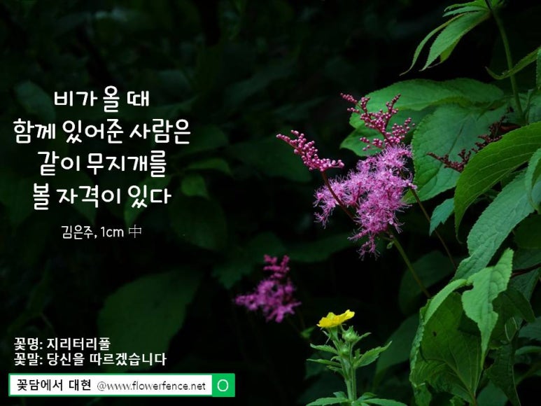 김은주꽃플라워 이미지
