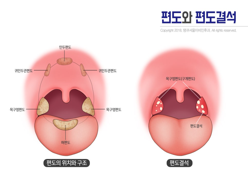 강영 이미지
