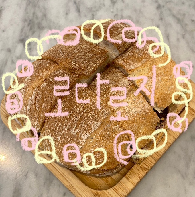 로다로지 이미지