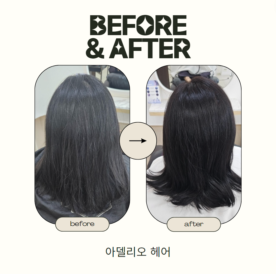 아델리오헤어 이미지