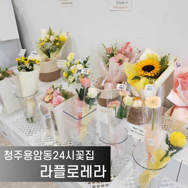 라플로레라 이미지