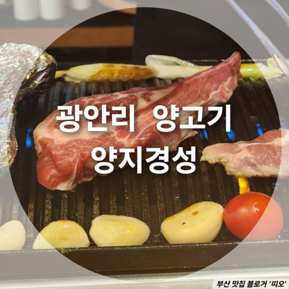 양지경성 이미지