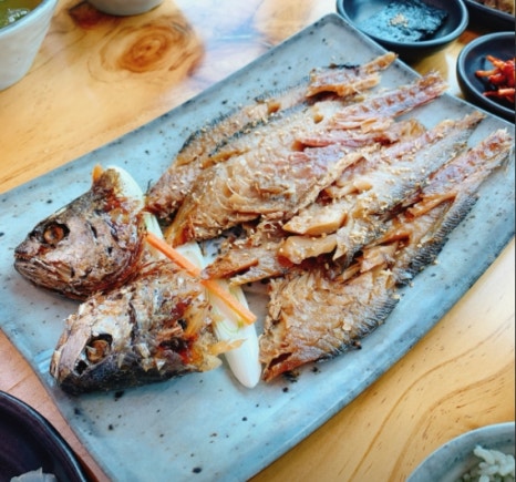 약초의고수 이미지