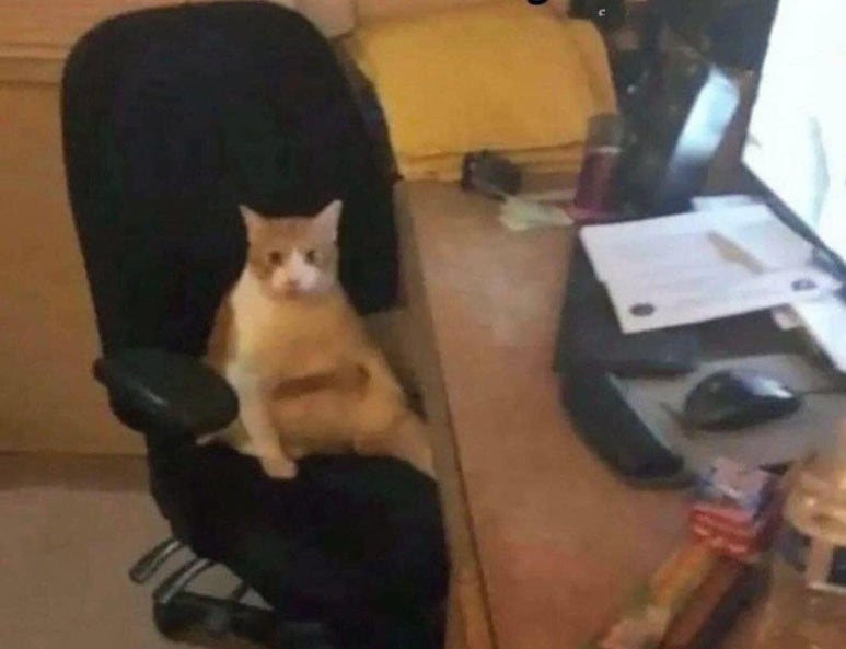 설가 이미지