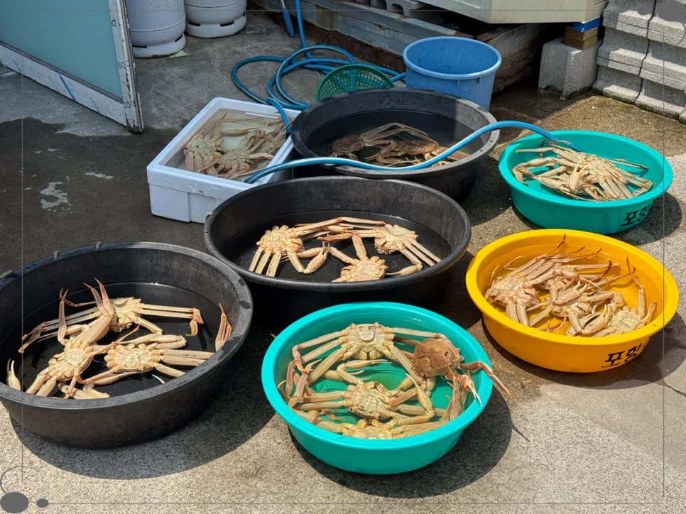 포항싱싱수산 이미지