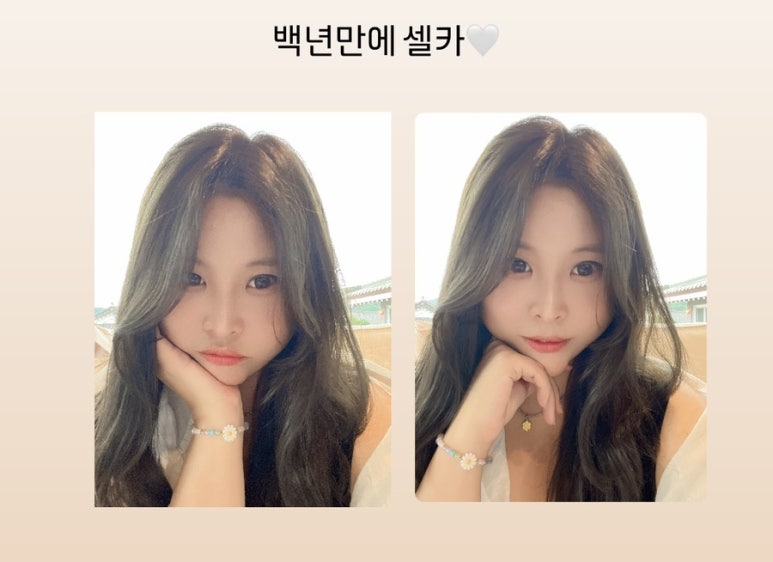 반다99 이미지