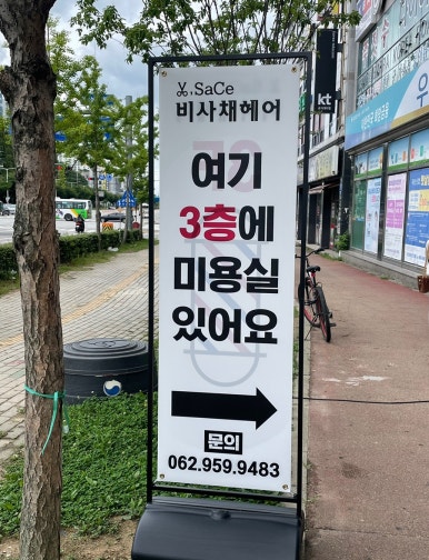 비사채 이미지