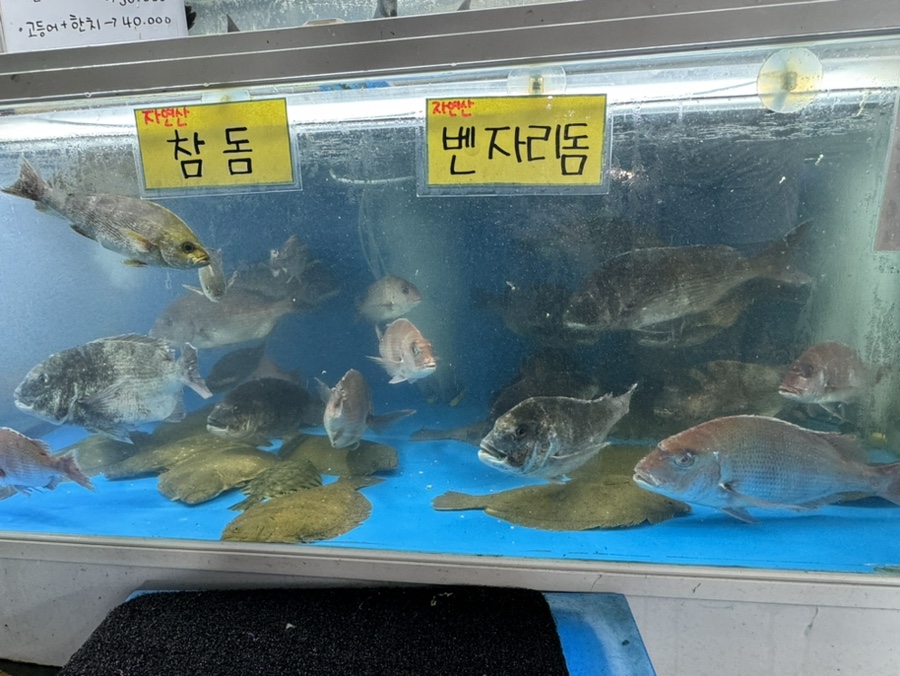 천지연랜드식당 이미지
