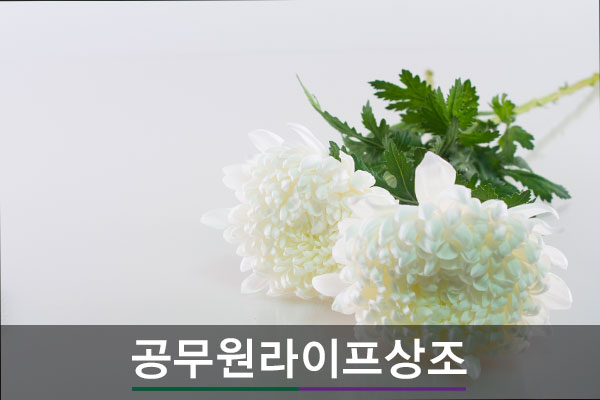 하나라이프상조 이미지
