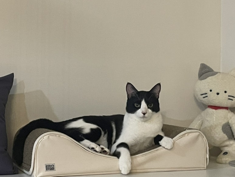우루룽 이미지