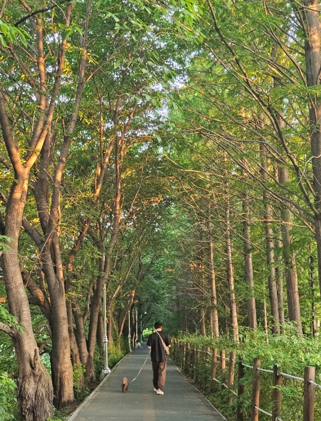 삼풍음식백화점 이미지