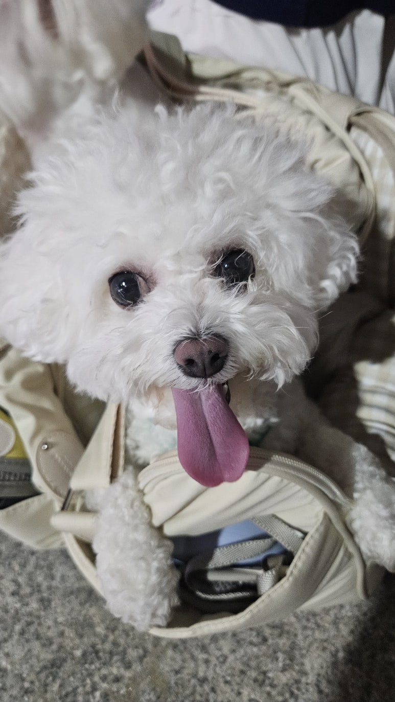 월포헤어 이미지