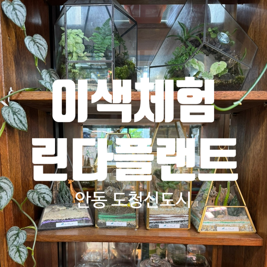 린다플랜트 이미지