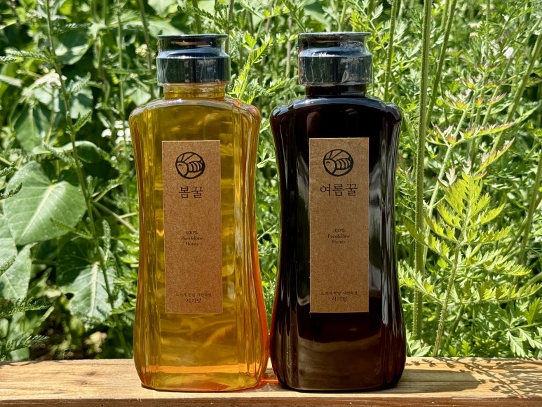 꿀봄 이미지