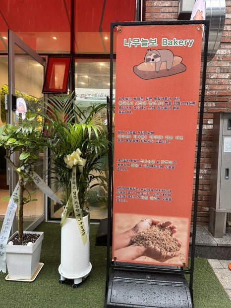 나무늘보 베이커리 이미지
