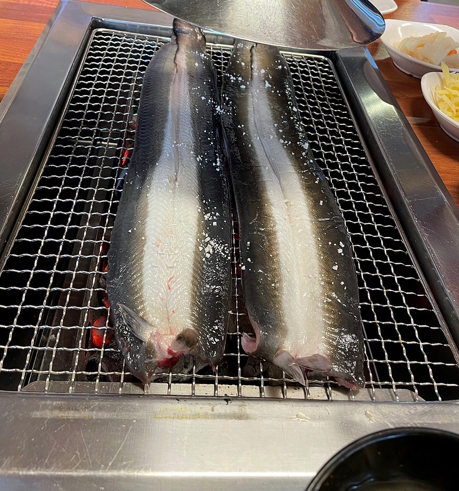 임진강민물장어직판장 이미지