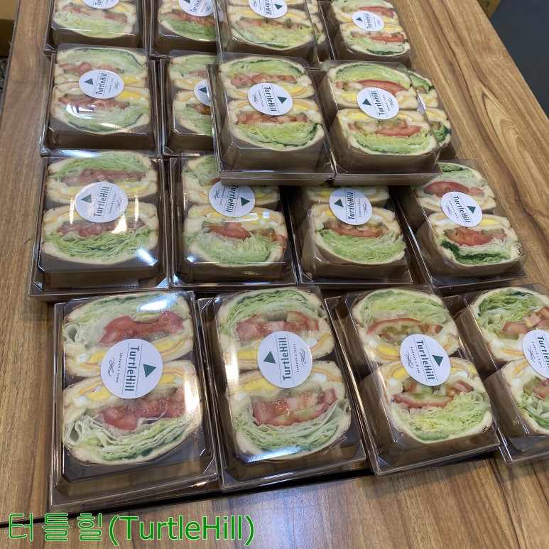 터틀힐 이미지