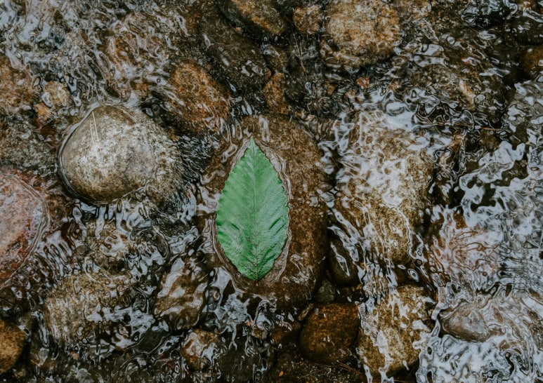 세종한의원 이미지