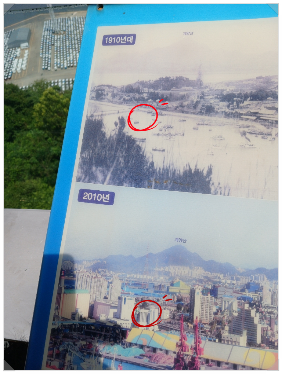 곰표수산 이미지