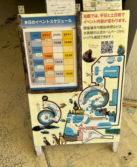 라이브야시 이미지