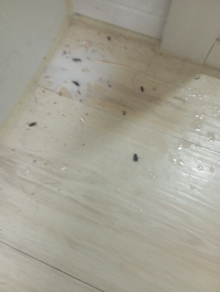 119원룸관리 이미지