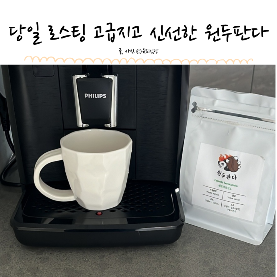 원두 판다 이미지