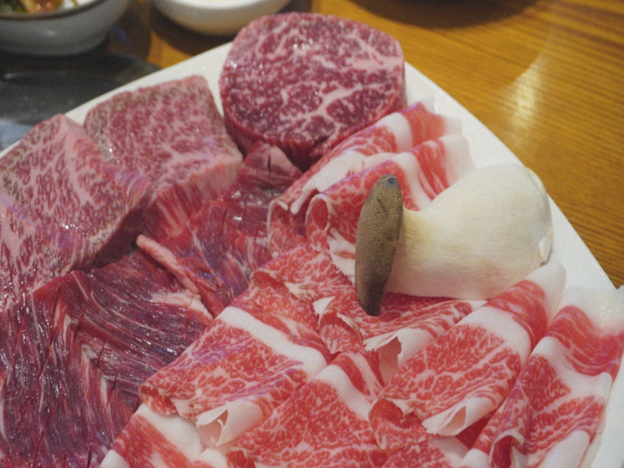 바우한우 이미지