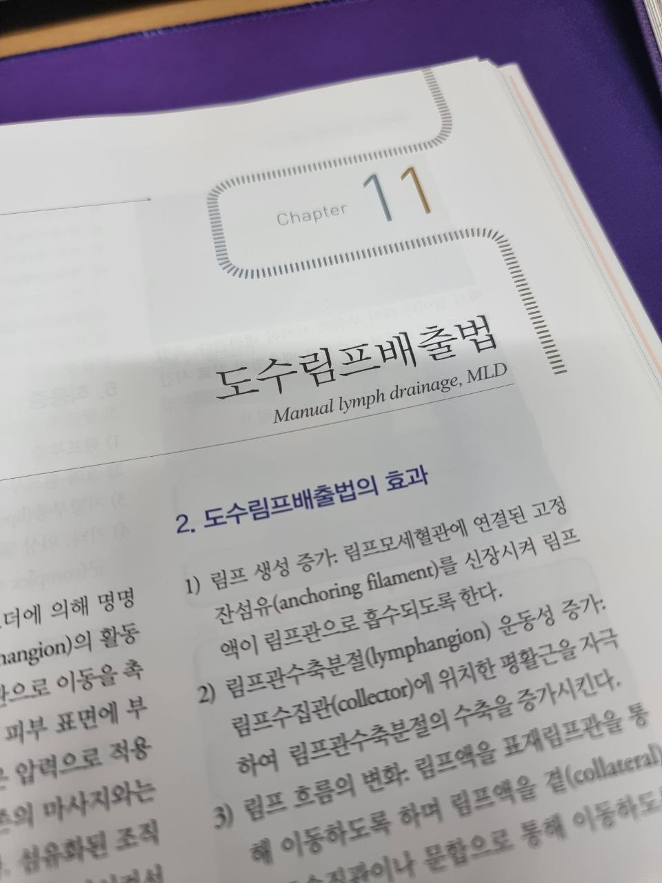 대한림프부종학회 이미지